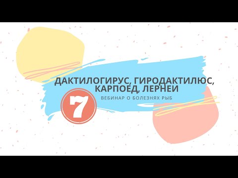 Вебинар №7 о болезнях рыб