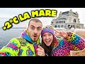ep.63. AM ÎNGHEȚAT LA -2°C! ❄️ Cum arată Marea Neagră sub zăpadă (Reacția cățelului nostru)