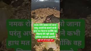 aloo ki sabji recipe #shorts#breakfast #food #recipe #cooking #motivation #motivational