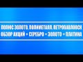 Полюс золото, Полиметалл, Петропавловск // Обзор акций + Серебро + Золото + Платина