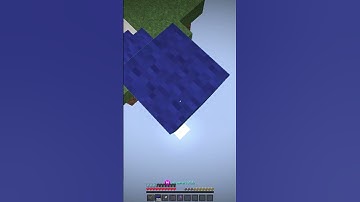 Catching A Hacker On A Famous Minecraft Server