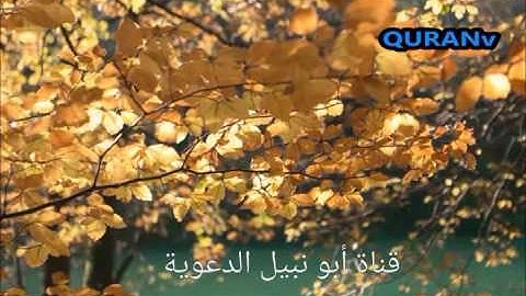 الشيخ ماهر المعيقلي/ تلاوات رائعة جدا/ تلاوة تلامس القلب