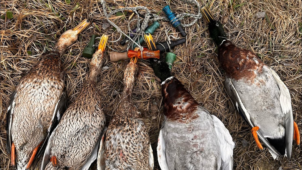 Esca Per Anatre Con Ali Rotanti - Telecomando, Alimentata A Batteria, Realistica, Per Caccia - Foto 4