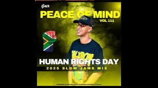 SLOW JAM MIX 2025 | HUMAN RIGHTS DAY | PEACE OF MIND VOL 111 | DJ Ace ♠️
