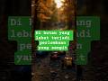 Di hutan yang lebat terjadi perlombaan yang sengit