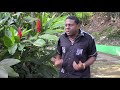 Antériorité Africaine Du Dieu Unique Par Kalala Omotunde Antériorité Africaine Du Dieu Unique Par Kalala Omotunde