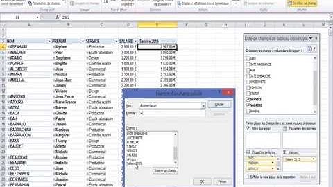 Créer des champs calculés dans un Tableau croisé dynamique (Module 4)