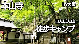 【山登り】本山寺 | キャンプおじさん | day solo picnic hiking Shrine temple in japan