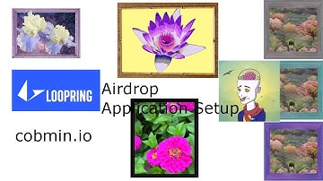 Loopring Airdrop Application Setup