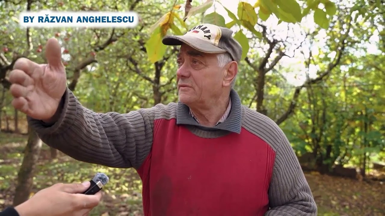 Tesla din Carpati Vlad Constantin Curentu din Mamaliga si dovleac