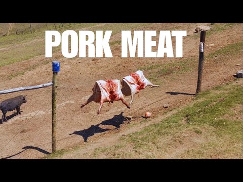 Fat Pork Meat at Home | Day in a Life of a Broke Student | SS 01 Ep 131