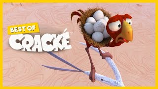 CRACKE   UPSET STOMACH   Cartoon Animation Compilation- Birds Saving Eggs