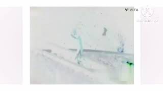 Zozobra 1985 On G Major