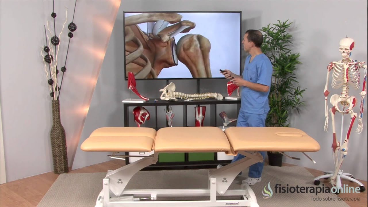 infantile systemic hyalinosis ¿Qué es la bursitis subacromial o bursitis del hombro? - Fisioterapia Bilbao