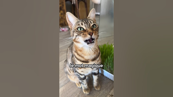 Le SECRET pour comprendre TOUT ce que ton chat te dit 😻🫢 #shorts #chat