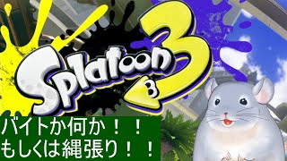 【スプラトゥーン3】バイトしたりナワバリしたり！！！着ぐるみインクまき散らし祭り。/Fade【新人Vtuber】