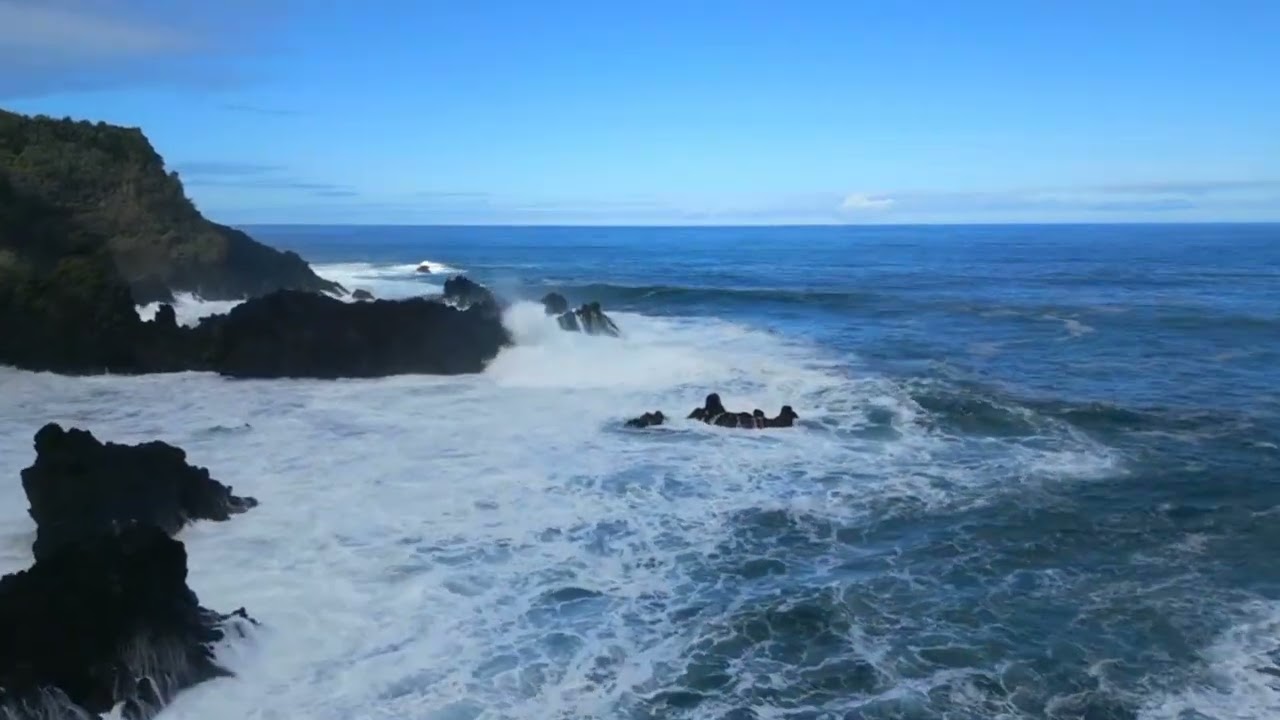 As in everything nature is the best instructor.vegetation 