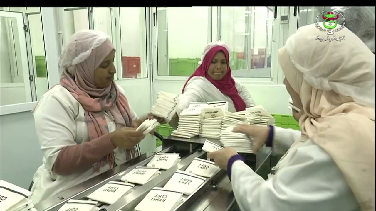 عين تموشنت - التربص الميداني.. آلية توظيف ناجعة