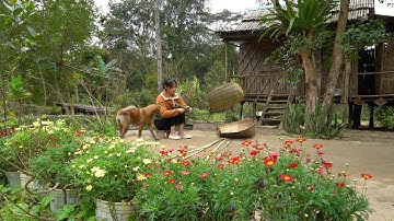 Harvesting corn in the garden. Knitting light burdens from bamboo. Cook meals gently.