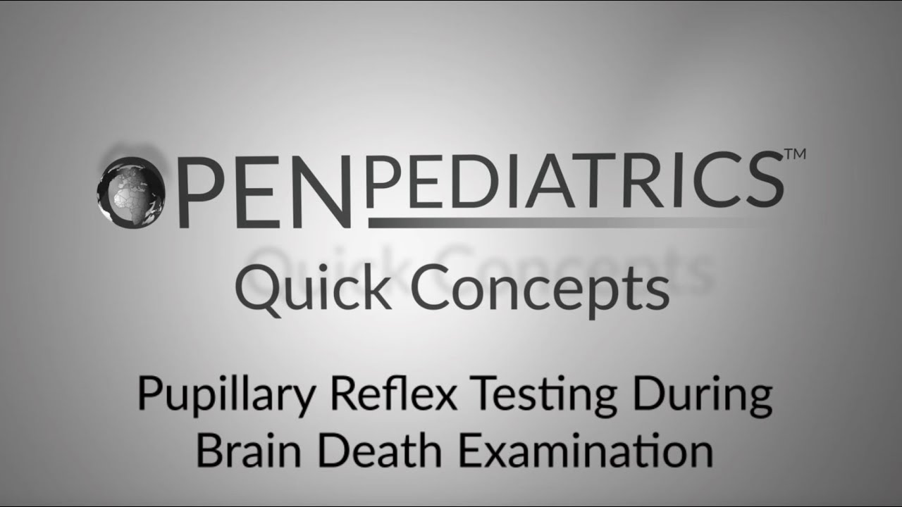 Pupillary Reflex Testing During Brain Death Examination By D Urion R Pupillary Reflex Testing During Brain Death Examination By D Urion R