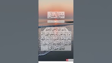 ‎سورة الفيل - Surah Al-Fil (The Elephant)| تلاوة مؤثرة من مشاري بن راشد #سورةالرحمن #قرآن #قران_كريم
