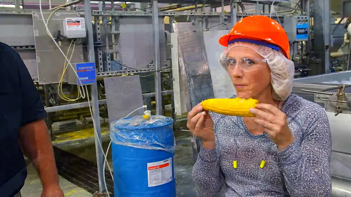 How Sweet Corn Is Processed | Washington Grown - DayDayNews