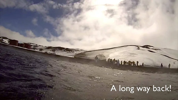 Polar plunge! Swimming in Antarctica!