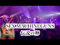 SEX MACHINEGUNS / 伝説の卵
