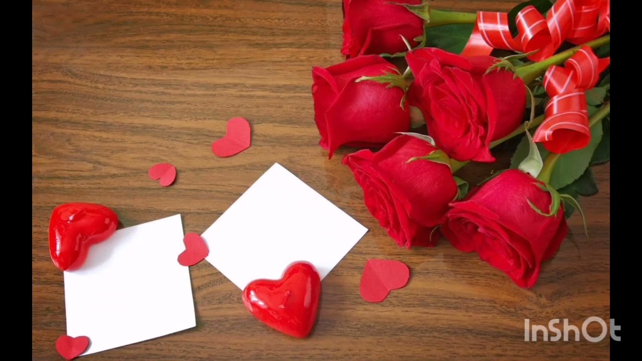 هيموووت ويتجوزك ❤️بيعشقك بهوووس ❤️بيتمني يكلمك لو مره واحده ❤️🌹❤️