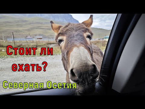 В Северную Осетию на машине. Стоит ли ехать? Термальное озеро Тамбукан.