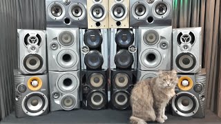 : Micro System MAYHEM - Blowing 9 pairs of speakers!