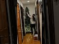 cant have dark corners ✨️ #festive #christmas #christmasdecor #decorating #festivevibes