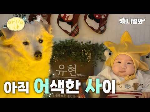 태어나보니 가족이 10살 강아지인 아기(친해지길 바라..프로젝트)ㅣWhen You Have 10 Years Old Dog <strong>Sibling</strong>