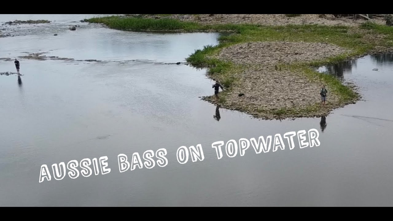 SYDNEY TOPWATER BASS FISHING
