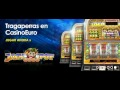 Maquinas Tragamonedas de Casinos y Bingo - YouTube