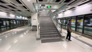 2 Line 6 (Branch Line) trains at Zhenmei Station