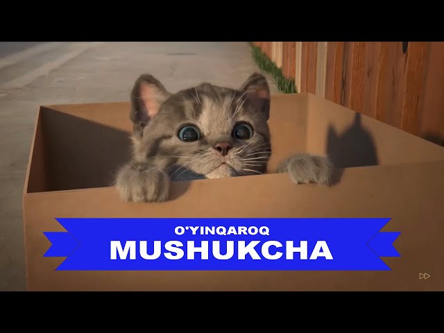 Meksikalik qizlar super jinsiy pornoni yaxshi koradilar