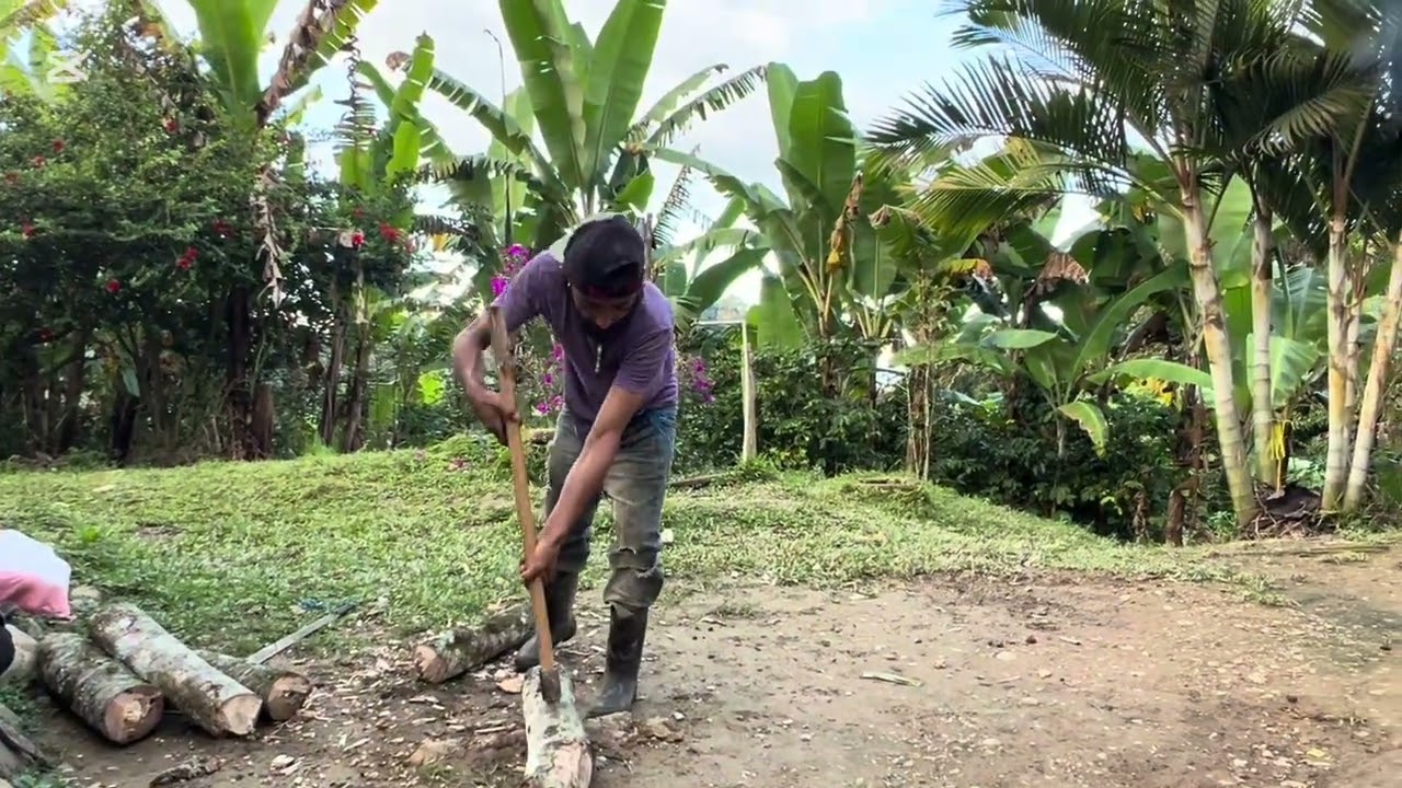 Y chinche con la leña 