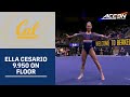 Cal's Ella Cesario Ties For First On Floor With A 9.950