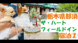 【犬と旅行】栃木県那須　「ザ・ハートフィールドイン」に宿泊②