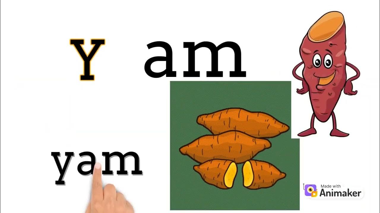 LEARN am READING EASY BASIC WORDS LEARNING FOR KID Pre rep KG learn-am-reading-easy-basic-words-learning-for-kid-pre-rep-kg
