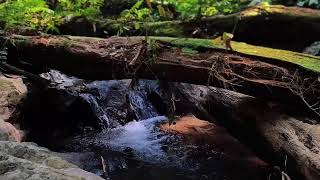 Relaxing Piano Music – Healing Vibes & River Flow for Peaceful Meditation and Rest