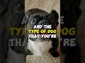 A Dog's Size DOESN'T Matter When Training!