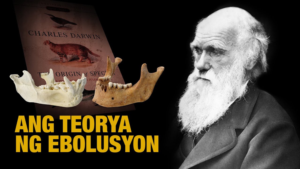 Ang Teorya ng Ebolusyon ni Darwin  Knowledge Base