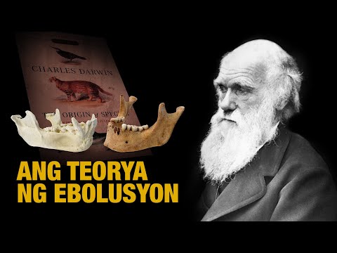 Video: Ano Ang Kasamang Teorya Ni Darwin