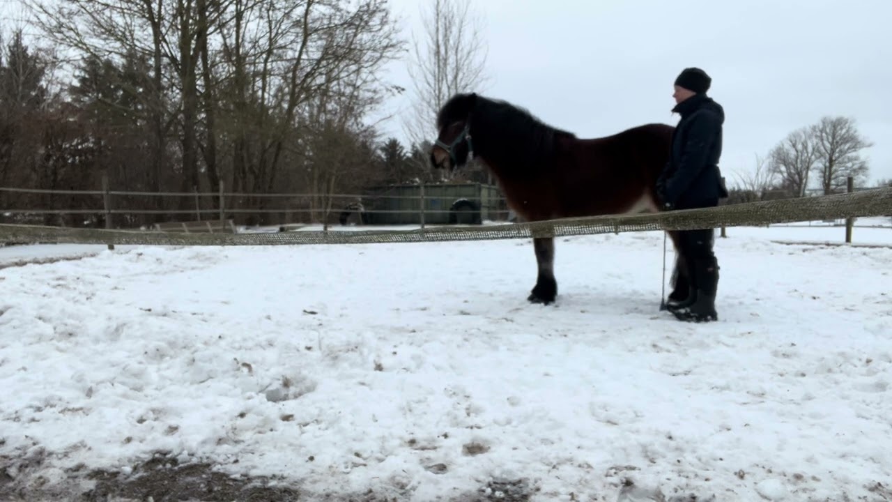 Frida uge 6. Det var svært for os begge. Har ikke filmet hele optakten og det lykkedes delvist