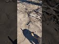 Post storm lure hunting with Yukon