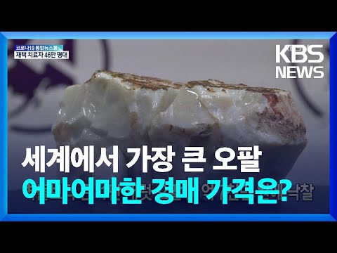[글로벌K] 벽돌보다 큰 ‘1만 캐럿 <strong>오팔</strong>’, 1억 7천만 원에 낙찰 / KBS  2022.02.22.