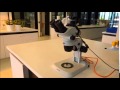 Microscope Maintenance and Handling Best Practices