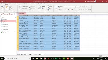 Review Assignment for Chapter 3 - Access